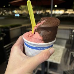 Vegan Raspberry & Dark Chocolate