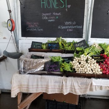 Suncatcher Farm - Cilantro, mustard, arugula, Tokyo turnips, tataki, sprouted broccoli & radishes. - Pick Your Own Farms Near Me - Petaluma, California