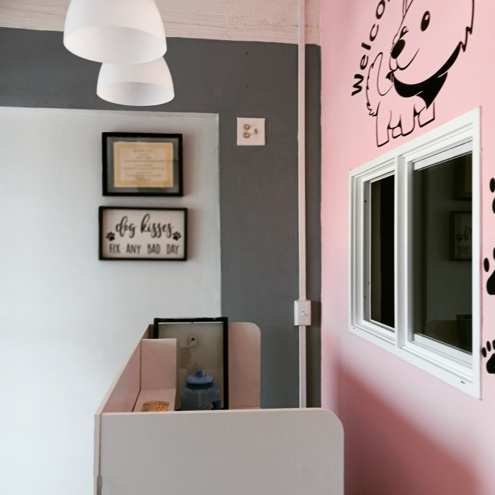 PINK EARS DOG GROOMING Updated October 2024 14 Photos 383 Patterson St, Ogden, Utah Pet