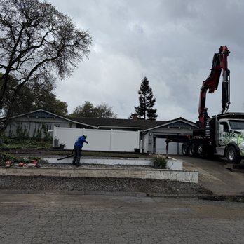 TreeMax Tree Service - Tree Services Near Me - Roseville, California TreeMax Tree Service - Tree Services Near Me - Roseville, California