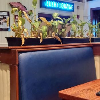 Atlanta Fish Market - Dead leaves on the live plants at the entrance. - Seafood Near Me - Atlanta, Georgia