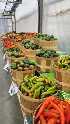 19th Avenue Farmer's Market by null