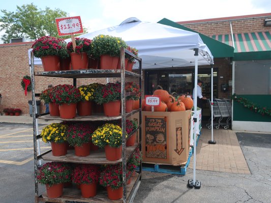 Photo of Nature’s Best Market - Westmont, IL, US. Question for a 5 year old: what season is it?