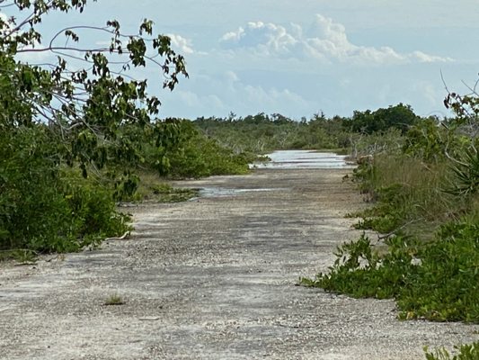 National Key Deer Refuge Nature Center by null