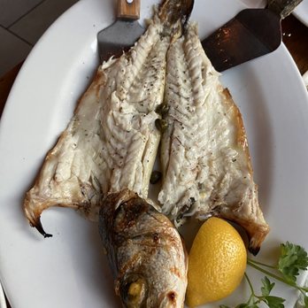 Agora Taverna - Greek Near Me - Forest Hills, New York