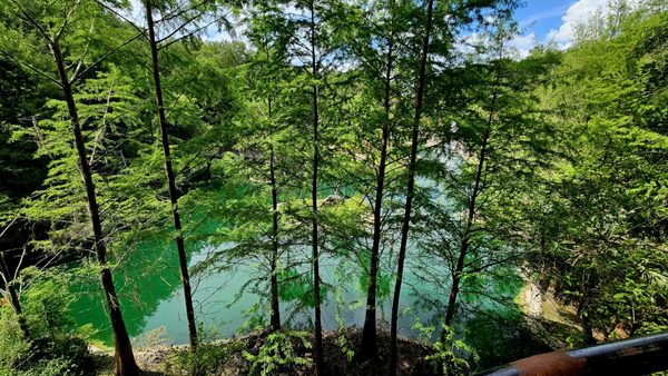 Cedar Lakes Woods and Gardens by null