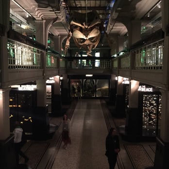 Manchester Museum - Museums Near Me - Manchester, XGM Manchester Museum - Museums Near Me - Manchester, XGM