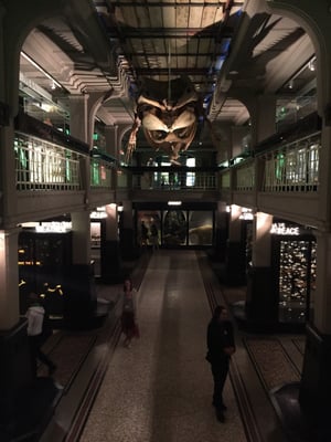 Manchester Museum by null