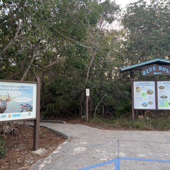 Blue Hole Observation Platform - Entrance to Blue Hole - Hiking Near Me - Big Pine Key, Florida