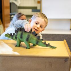 Carpe Diem Private Preschool - Frisco