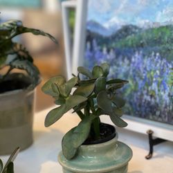 Terra Gallery & Creative Studio