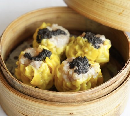 Ocean Palace by null