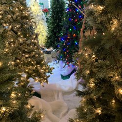 Menards - Patchy Boi needs a Christmas tree!