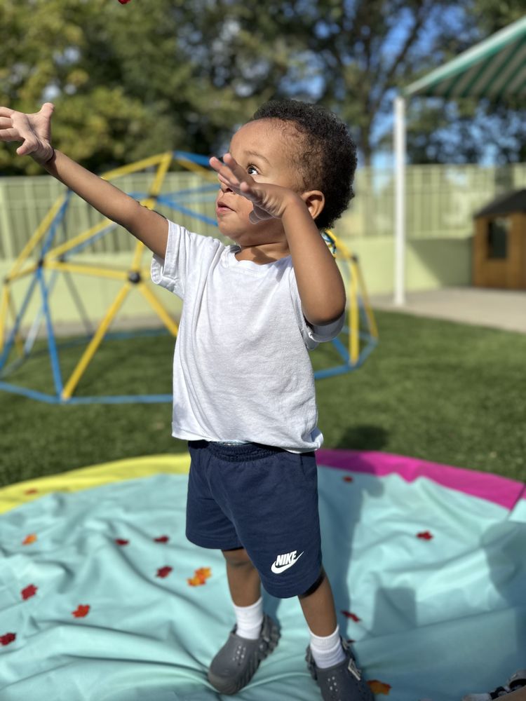 L’Academy Language Immersion Preschool - Sacramento - childcare center in Sacramento, CA