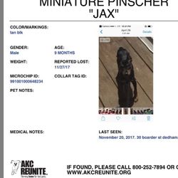 Dedham Dog Park - My Dog Jax was stolen from me, last seen at this dog park.