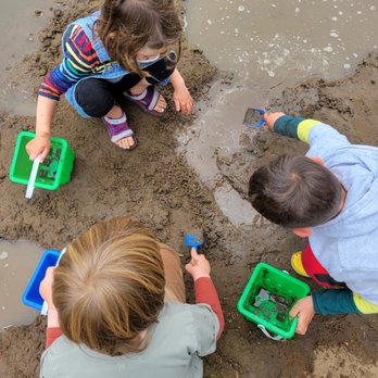 Little Forest Explorers - Preschools Near Me - San Francisco, California Little Forest Explorers - Preschools Near Me - San Francisco, California