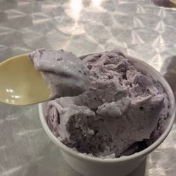 The Fountain - Blueberry ice cream
