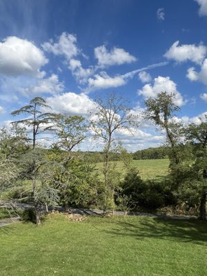 Zephaniah Farm Vineyard by null