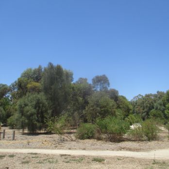 Lochiel Park - Park - Parks Near Me