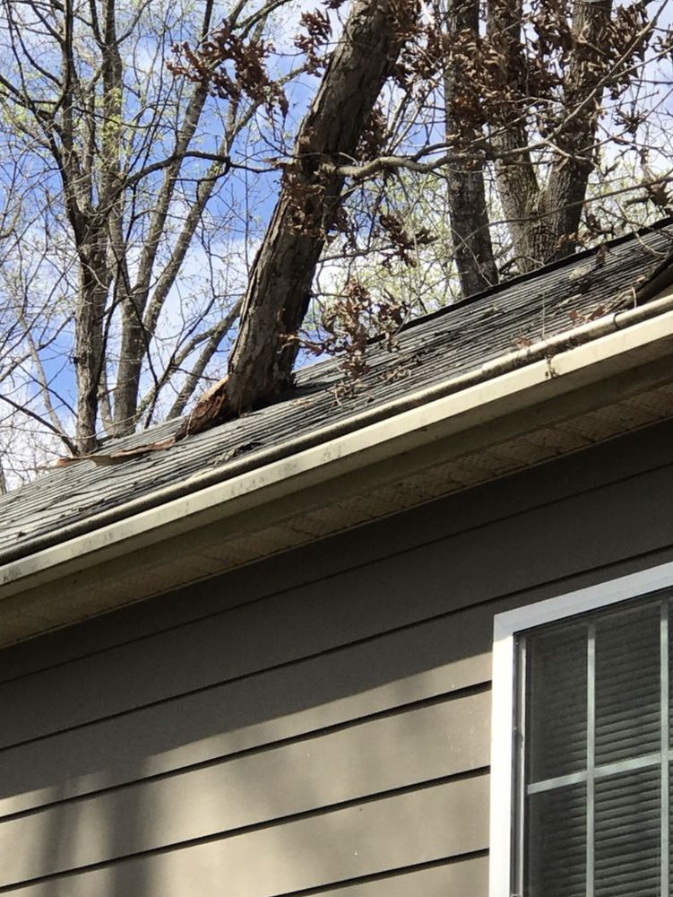 Mark Tuttle Tree Service - tree service in Powhatan, VA