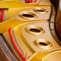 Photo of Atlanta Keyboard Consultants