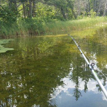 Hartwick Pines State Park - Bright Lake - Campgrounds Near Me - Grayling, Michigan