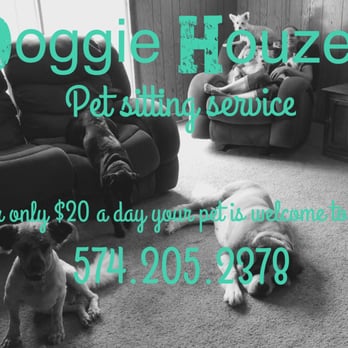 Doggie Houzer - Pet Sitting Near Me