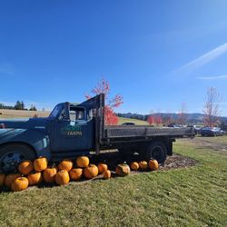 Olson Farms