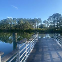 Bear Pond Trailhead