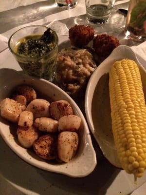 The Catch Seafood and Oyster Bar by null