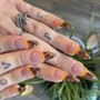 Bio Nails Spa