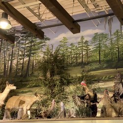 Cabela's - Ahh, nature.