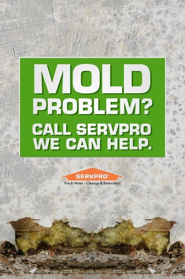 SERVPRO OF ORLAND PARK Updated September 2024 21 Photos 12620 S