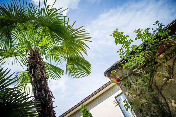 Giardino Lago, Minusio-Locarno, a Member of Design Hotels by null
