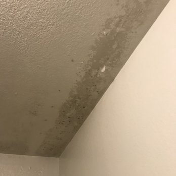 Ala Cozy Motel - Above shower - Hotels Near Me - Coulee City, Washington