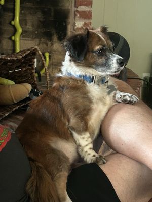 Antojitos Izcalli - Authentic Méxican Restaurant by null