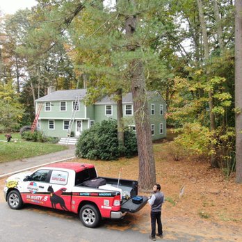 Mighty Dog Roofing - MIGHTY DOG ROOFING MASSACHUSETTS- REPLACEMENTS-REPAIR-INSTALLATION - Roofing Near Me - Westford, Massachusetts Mighty Dog Roofing - MIGHTY DOG ROOFING MASSACHUSETTS- REPLACEMENTS-REPAIR-INSTALLATION - Roofing Near Me - Westford, Massachusetts