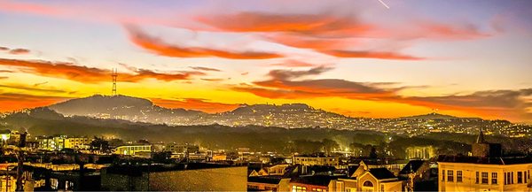 Golden Gate Park by null