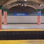 Photo of Pavonia - Newport Path Station