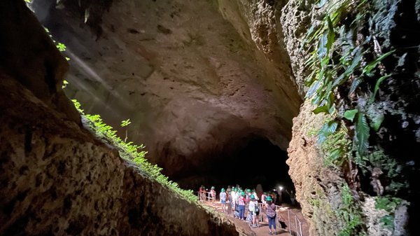 Parque Nacional de las Cavernas del Río Camuy by null