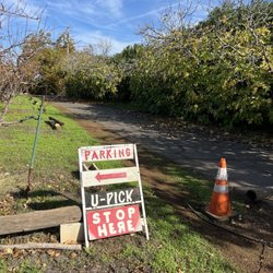 Serendipity Farm - 11/2025
