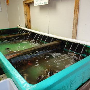 David's Fish Market - David’s Fish Market: - Seafood Markets Near Me - Salisbury, Massachusetts