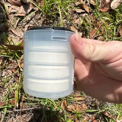 PestNow - Termite control