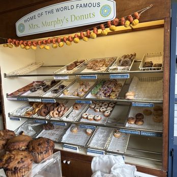 Willoughby's Depot Eatery - a variety of donuts - Bakeries Near Me - Manchester Ctr, Vermont
