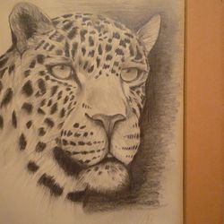 Colfax High School - pencil drawing BY former  COLFAX HIGH student Geno T 1987
