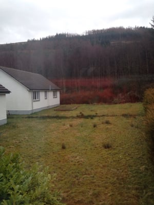 Mhor 84 Motel by null