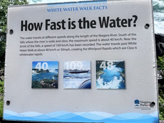 White Water Walk by null