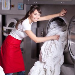 Aloha Mobile Dry Cleaners​