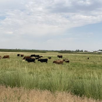 Antelope Island State Park - Hiking Near Me - Syracuse, Utah Antelope Island State Park - Hiking Near Me - Syracuse, Utah
