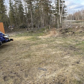 Mat-Su Brush & Tree - After - Landscaping Near Me - Palmer, Alaska